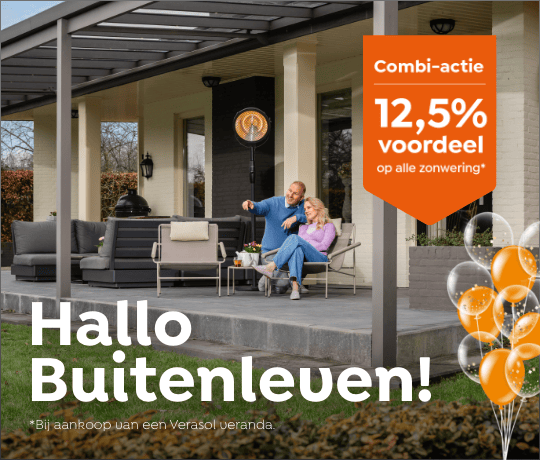 webbanner-540x460_verasol-c03-2026