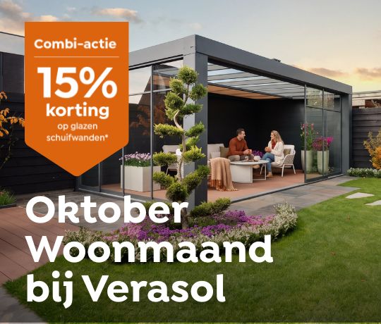 Webbanner_540x460_verasol